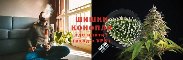 амф Арсеньев