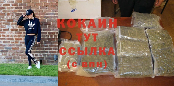 амф Арсеньев