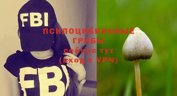 ALPHA PVP Армянск