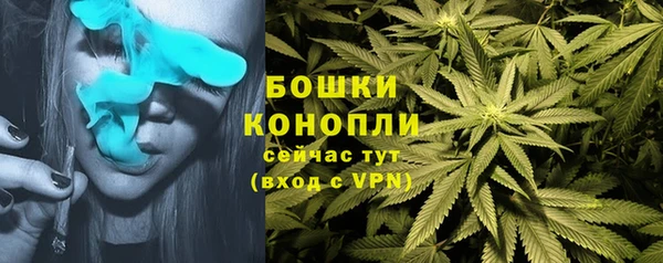 амф Арсеньев