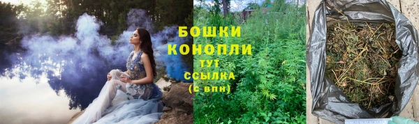 амф Арсеньев